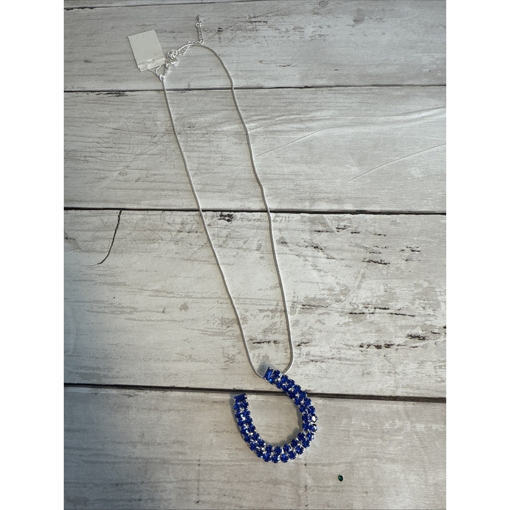 Blue Horseshoe Charm Necklace